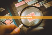2025风险分析要点