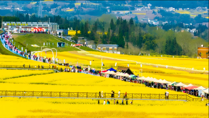 2025“发裸照我就还钱”,催收与老赖孰强孰弱? 2025“发裸照我就还钱”,催收与老赖孰强孰弱?