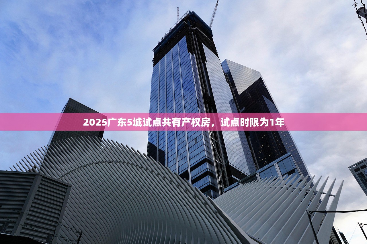 2025年网贷=亡贷，我跳进了这个不眨眼的无底洞……