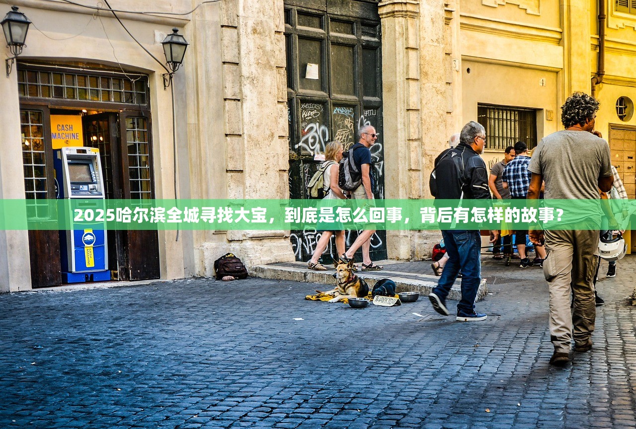 2025哈尔滨全城寻找大宝,到底是怎么回事,背后有怎样的故事? 2025哈尔滨全城寻找大宝,到底是怎么回事,背后有怎样的故事?