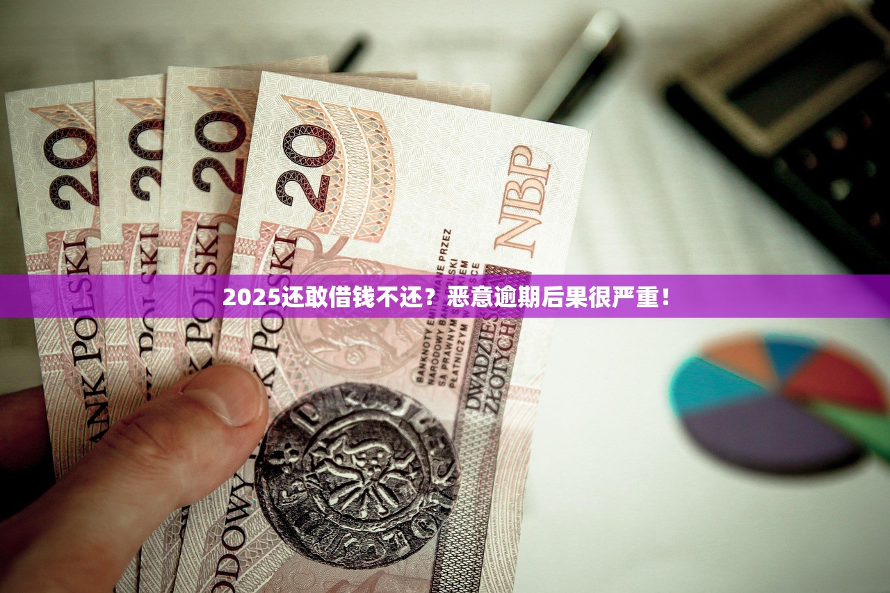 2025还敢借钱不还?恶意逾期后果很严重! 2025还敢借钱不还?恶意逾期后果很严重!