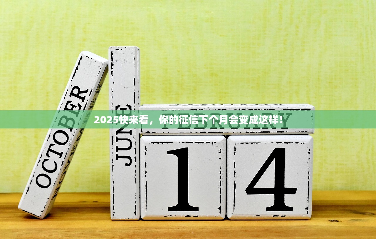 2025雷区遍地,下一步该怎么办? 2025雷区遍地,下一步该怎么办?