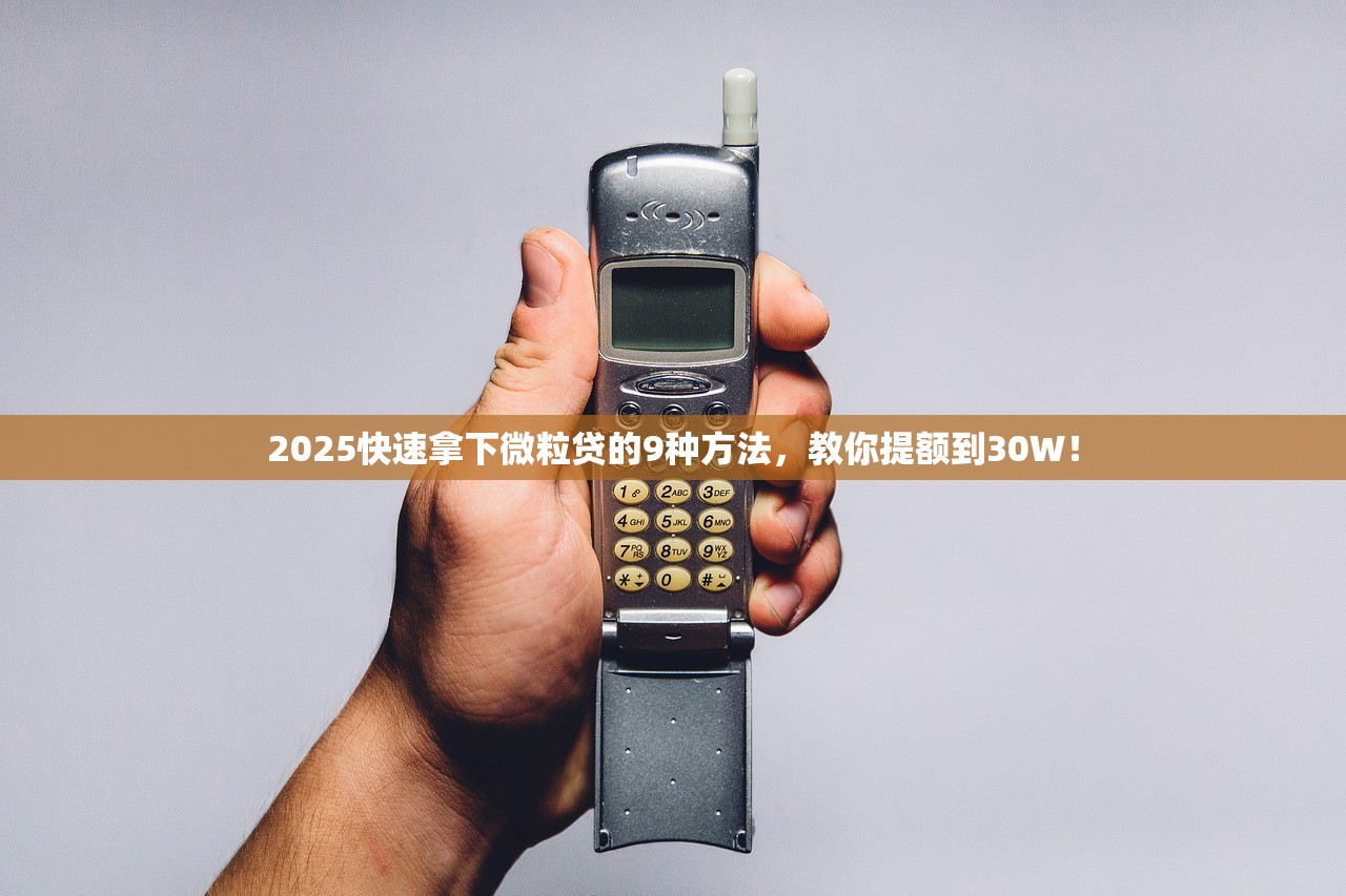 2025快速拿下微粒贷的9种方法,教你提额到30W! 2025快速拿下微粒贷的9种方法,教你提额到30W!