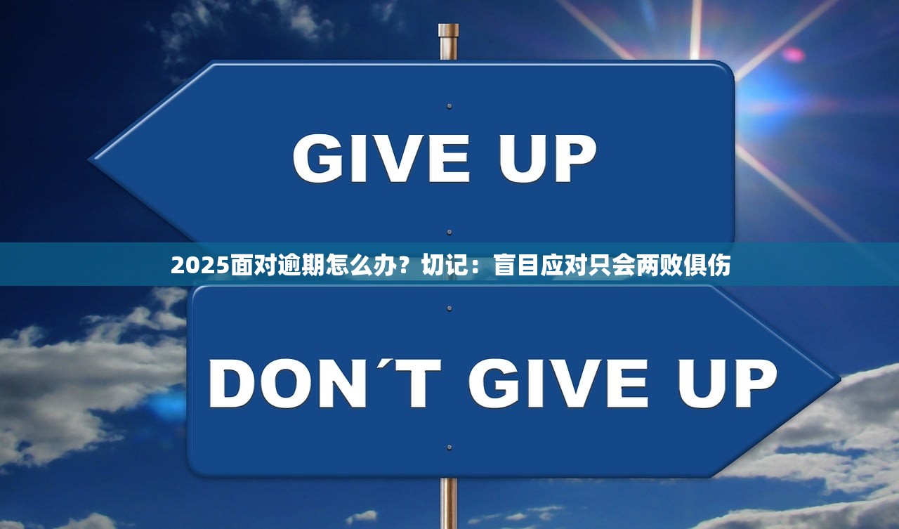 2025面对逾期怎么办？切记：盲目应对只会两败俱伤