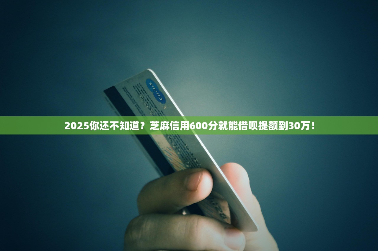 2025你还不知道？芝麻信用600分就能借呗提额到30万！