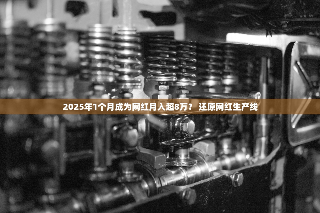 2025年1个月成为网红月入超8万？ 还原网红生产线