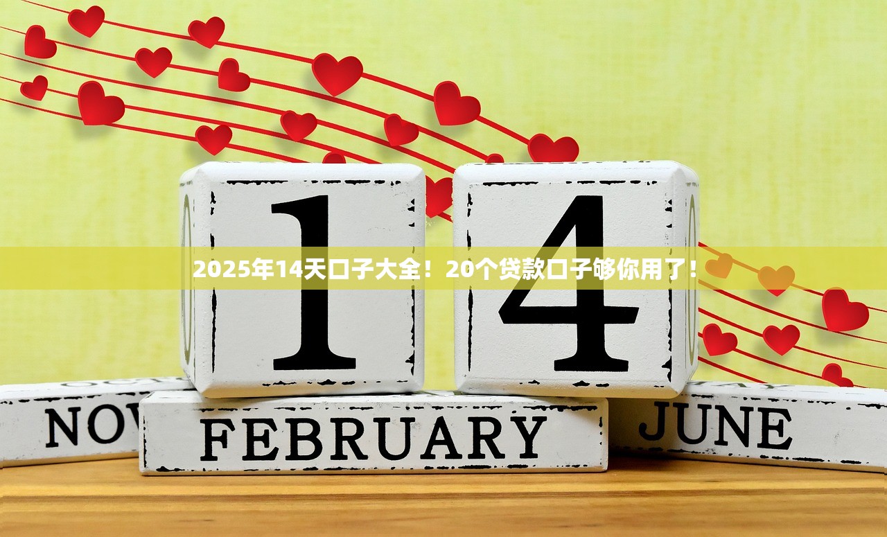2025年14天口子大全！20个贷款口子够你用了！