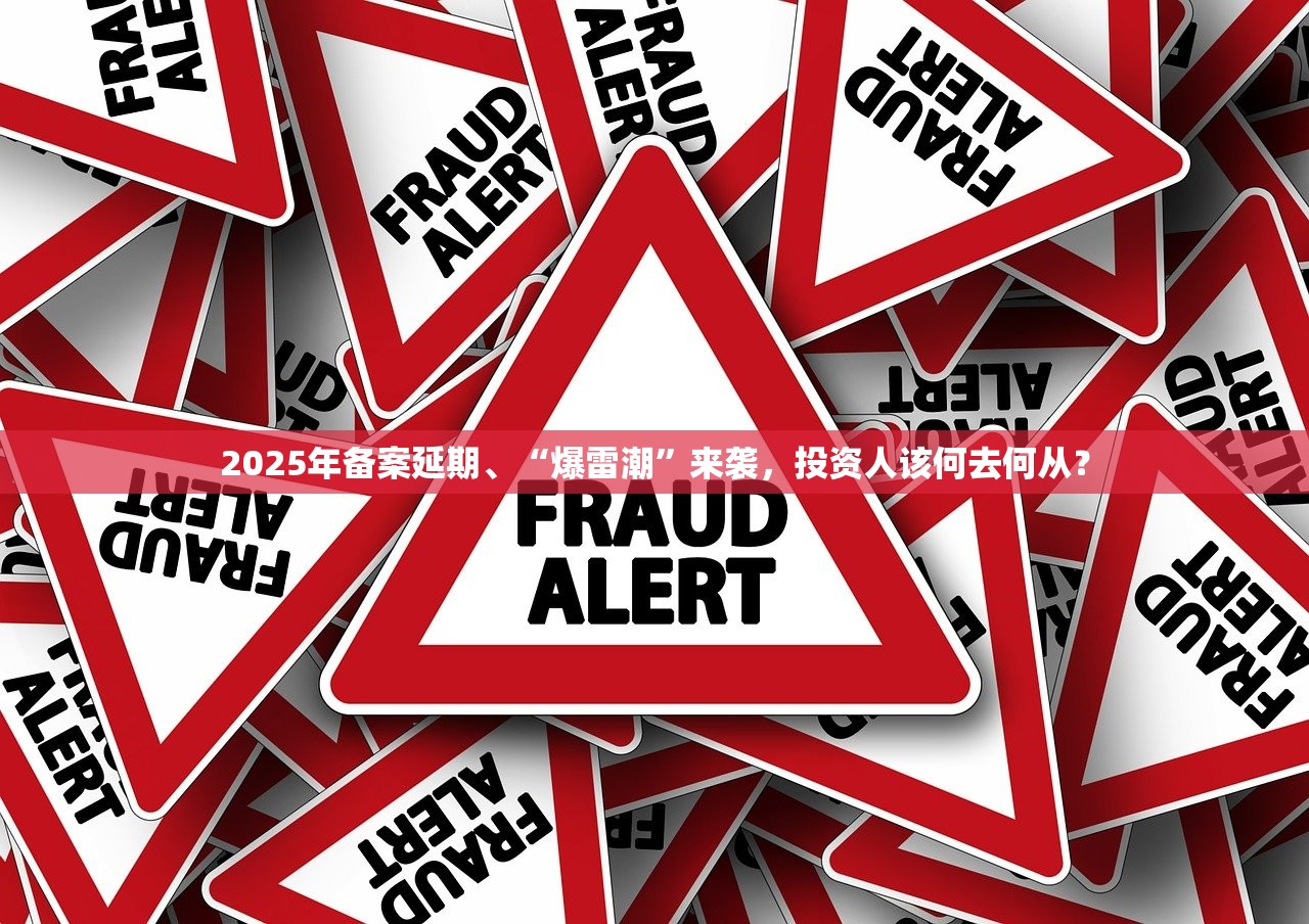 2025年备案延期、“爆雷潮”来袭,投资人该何去何从? 2025年备案延期、“爆雷潮”来袭,投资人该何去何从?