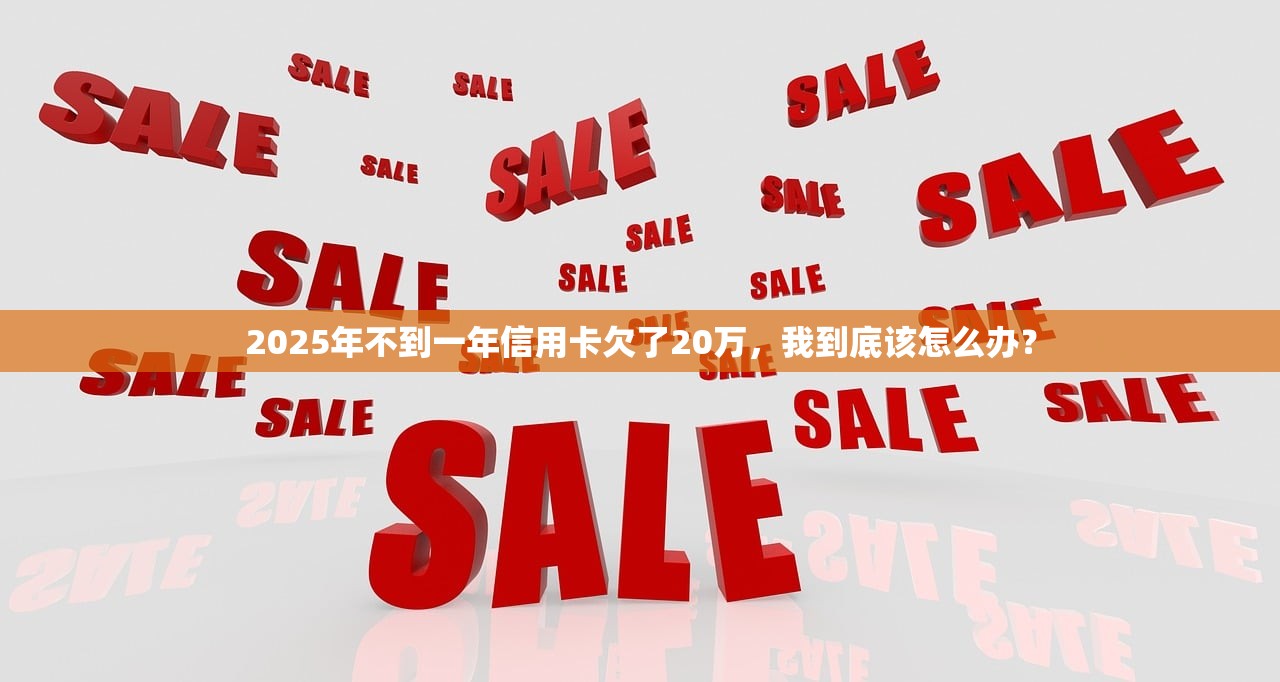 2025年不到一年信用卡欠了20万,我到底该怎么办? 2025年不到一年信用卡欠了20万,我到底该怎么办?