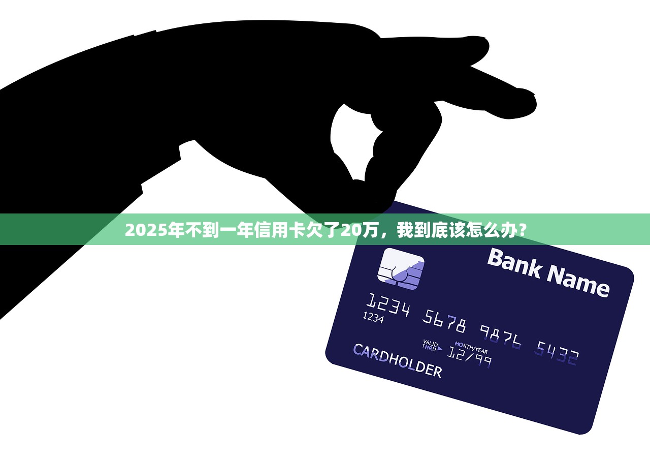 2025年不到一年信用卡欠了20万,我到底该怎么办? 2025年不到一年信用卡欠了20万,我到底该怎么办?