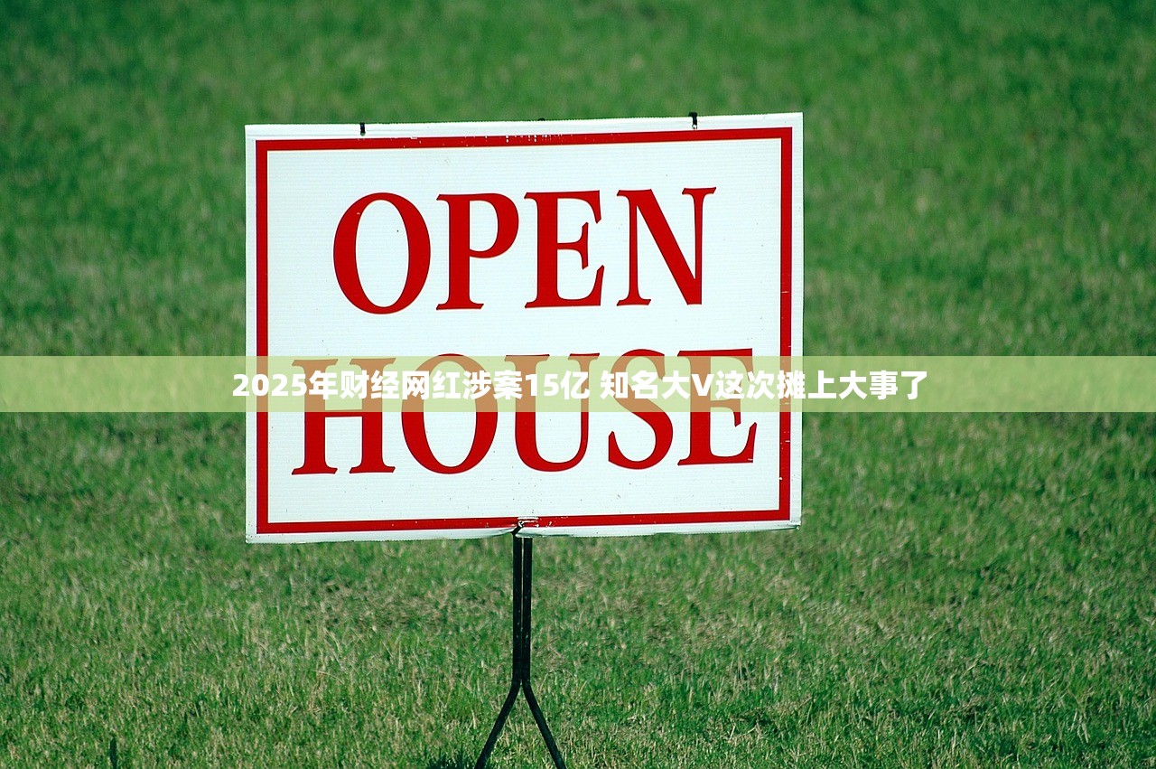 2025年财经网红涉案15亿 知名大V这次摊上大事了