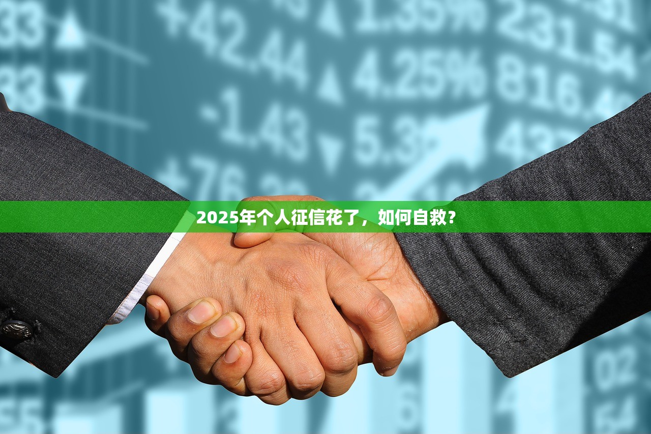 2025年我的花呗被停用了……