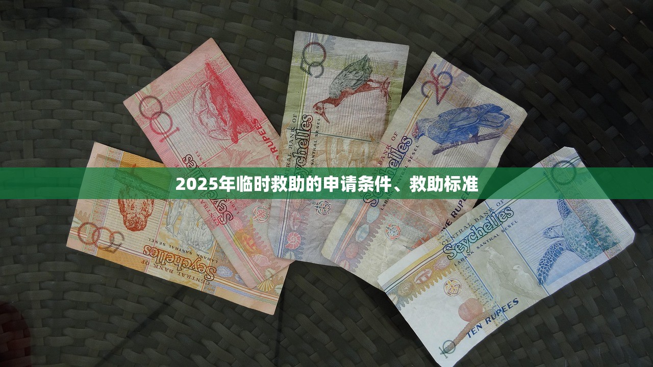 2025年临时救助的申请条件、救助标准 2025年临时救助的申请条件、救助标准