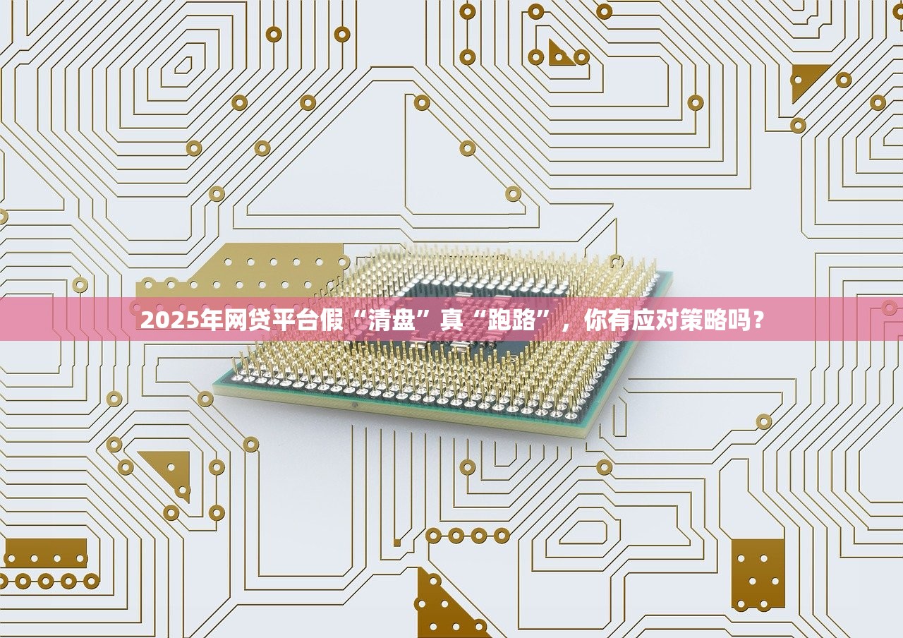 2025年网贷平台假“清盘”真“跑路”,你有应对策略吗? 2025年网贷平台假“清盘”真“跑路”,你有应对策略吗?