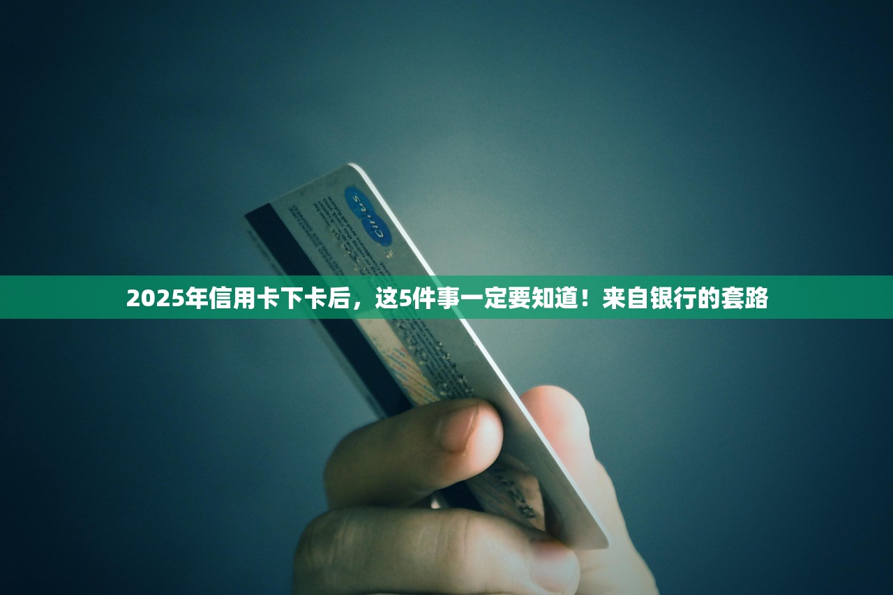 2025维权无门？最全路子在这（收藏）！