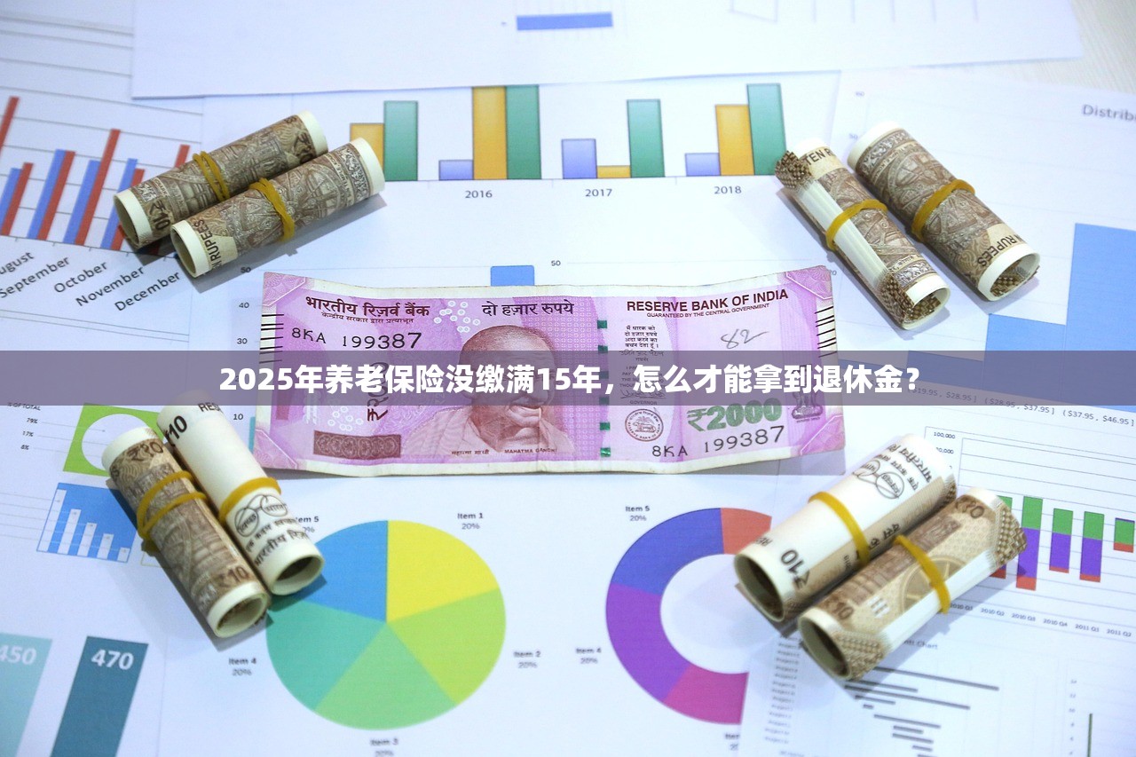 2025年养老保险没缴满15年，怎么才能拿到退休金？