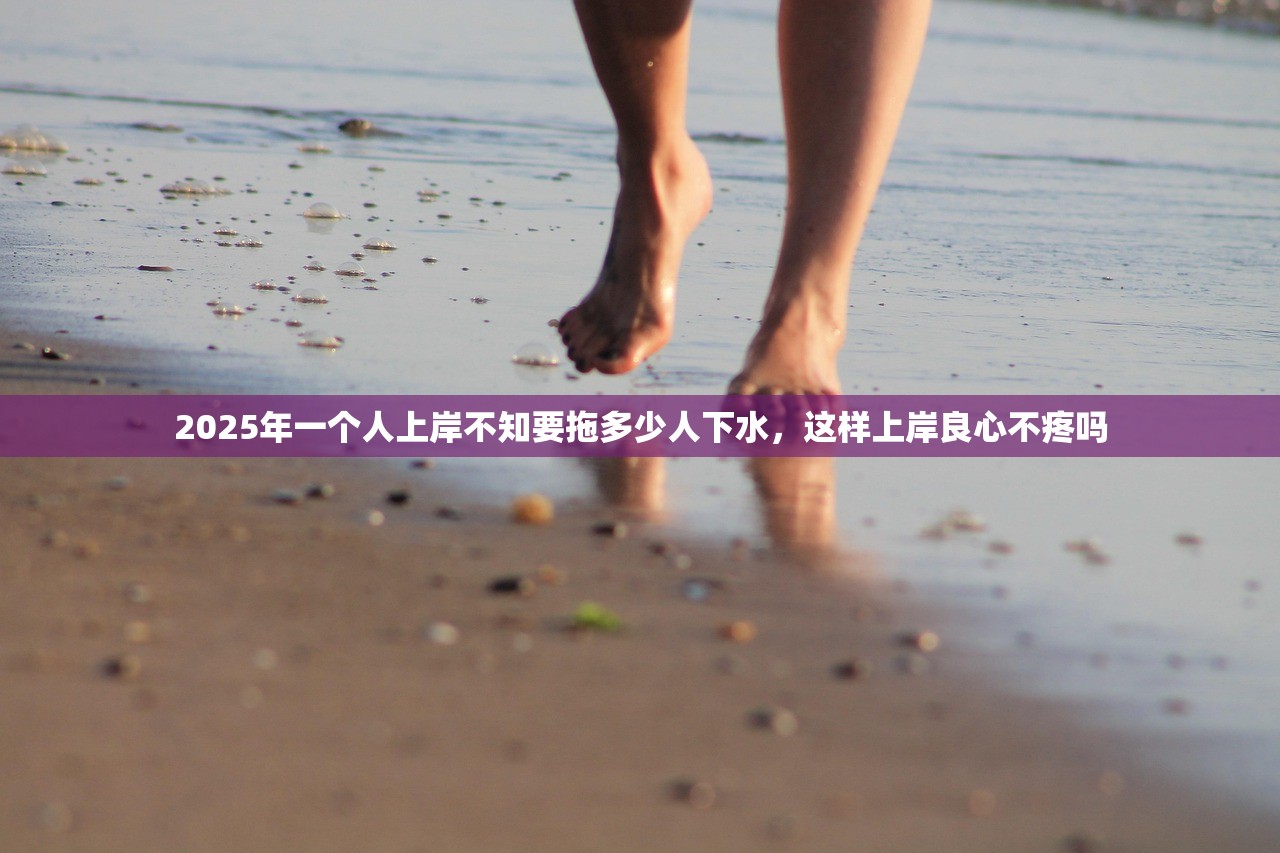 2025年一个人上岸不知要拖多少人下水，这样上岸良心不疼吗