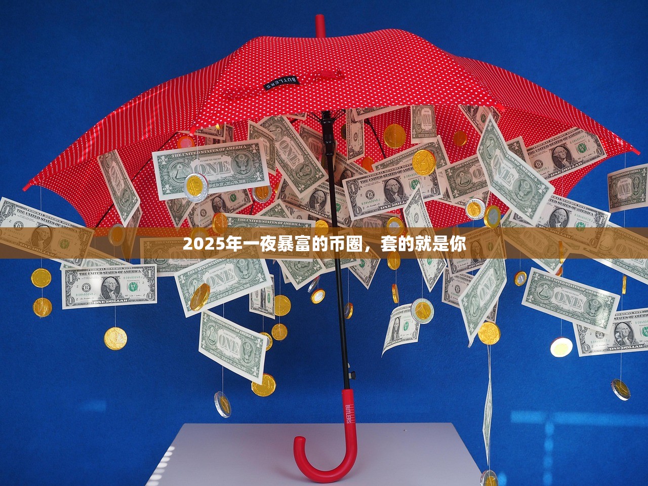 2025年一夜暴富的币圈，套的就是你