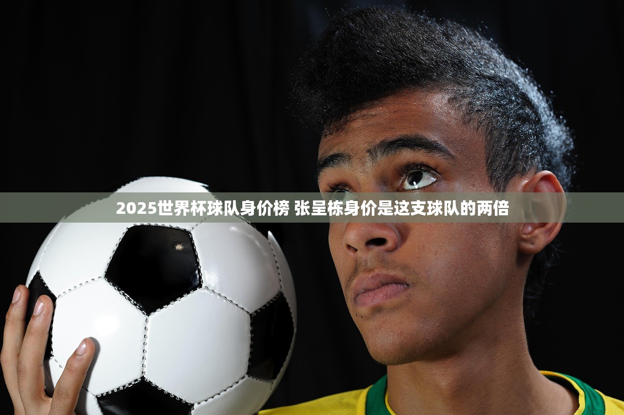 2025世界杯球队身价榜 张呈栋身价是这支球队的两倍