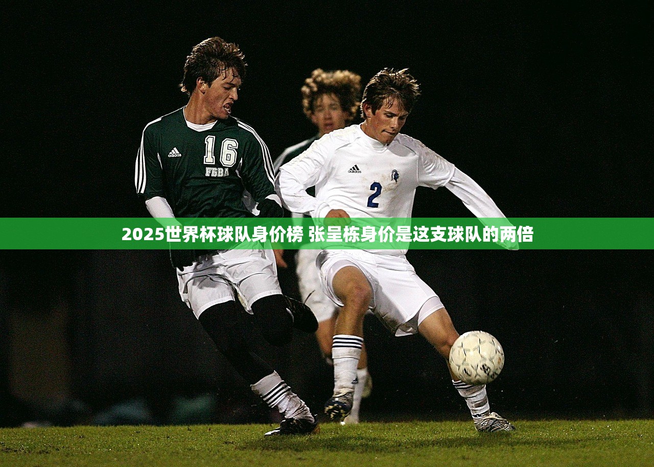 2025首套房和二套房认定标准是什么？不知道这个最好别买房！