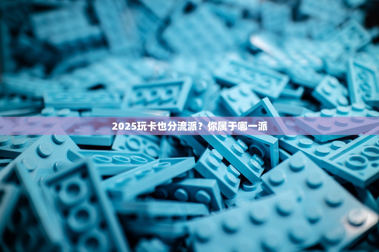 2025玩卡也分流派？你属于哪一派