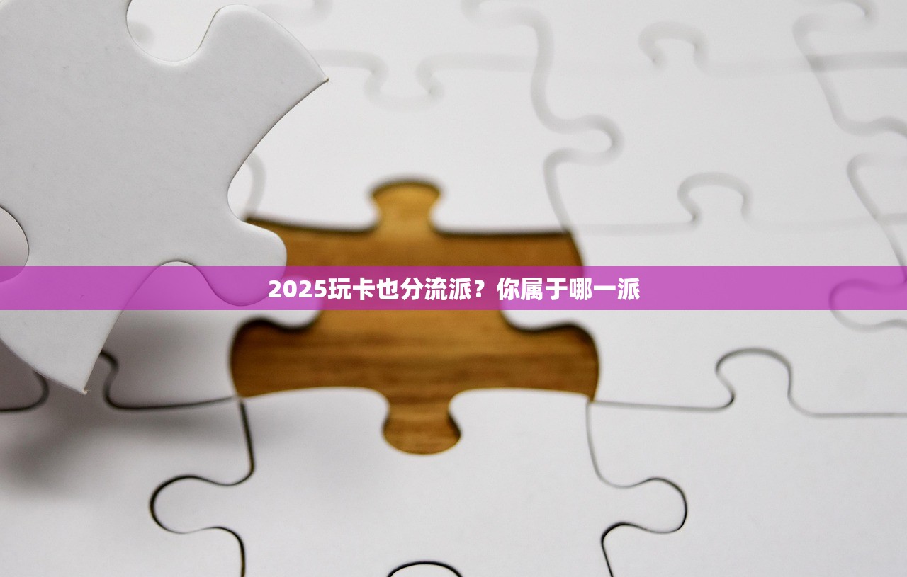 2025玩卡也分流派？你属于哪一派