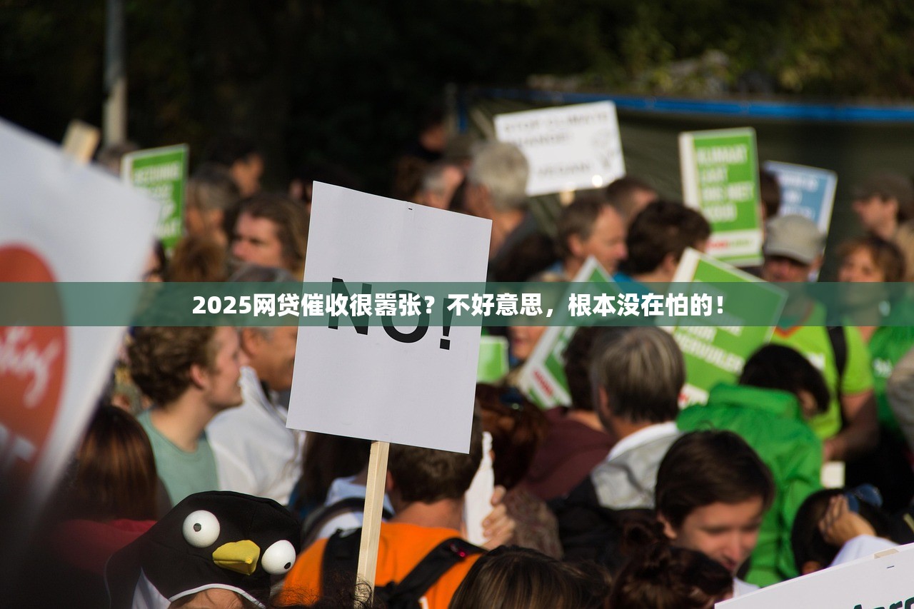 2025信用卡推荐:浦发银行VISA白金信用卡-简约版 (银联) 2025信用卡推荐:浦发银行VISA白金信用卡-简约版 (银联)