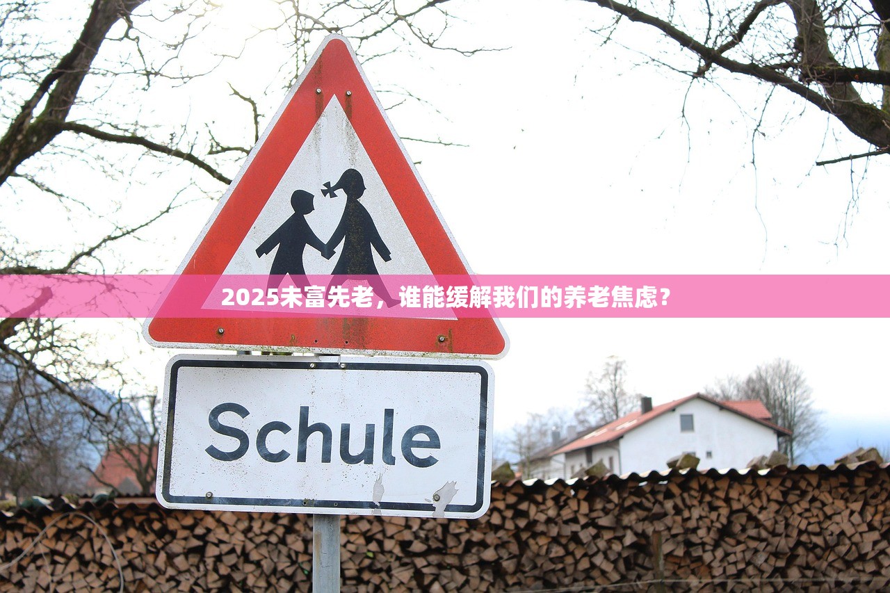 2025未富先老，谁能缓解我们的养老焦虑？