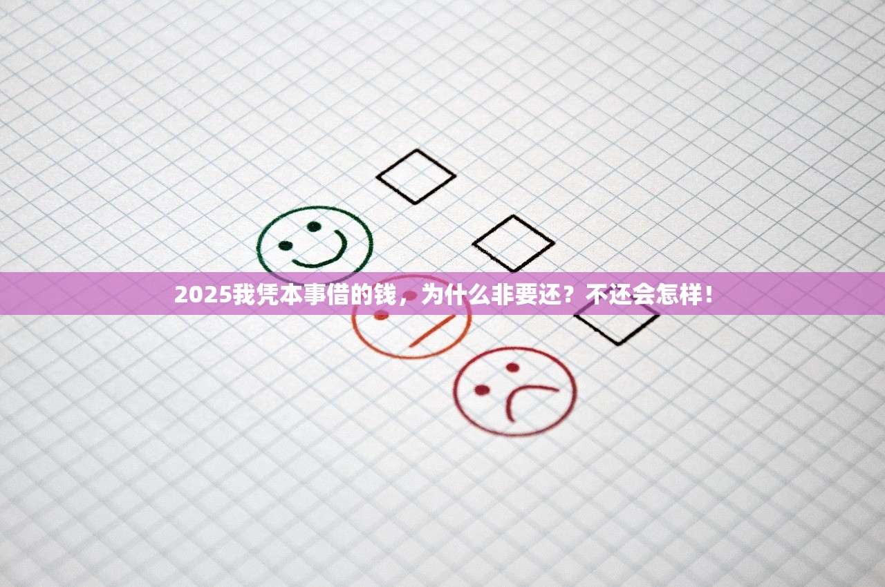 2025我凭本事借的钱，为什么非要还？不还会怎样！