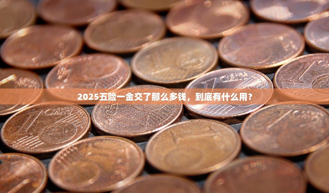 2025五险一金交了那么多钱,到底有什么用? 2025五险一金交了那么多钱,到底有什么用?
