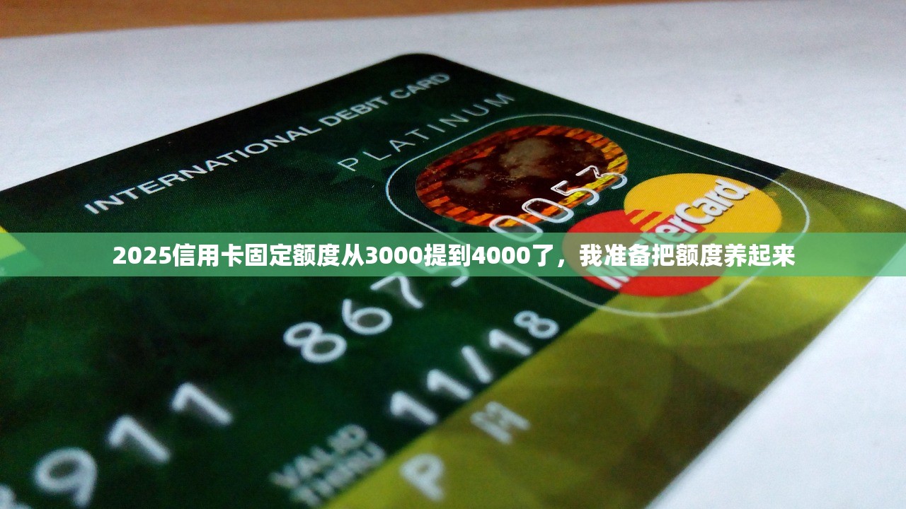 2025信用卡固定额度从3000提到4000了,我准备把额度养起来 2025信用卡固定额度从3000提到4000了,我准备把额度养起来