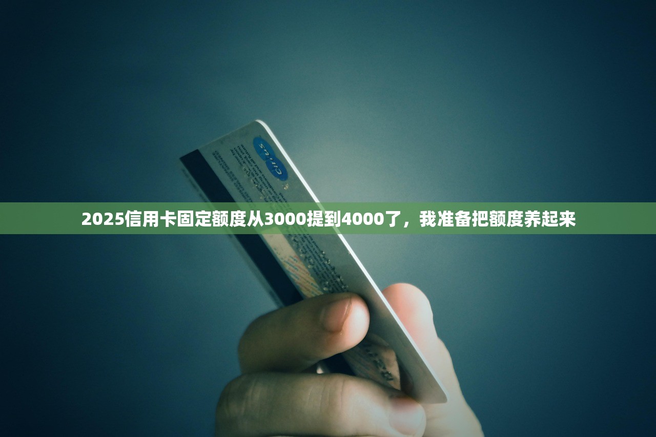 2025信用卡固定额度从3000提到4000了,我准备把额度养起来 2025信用卡固定额度从3000提到4000了,我准备把额度养起来