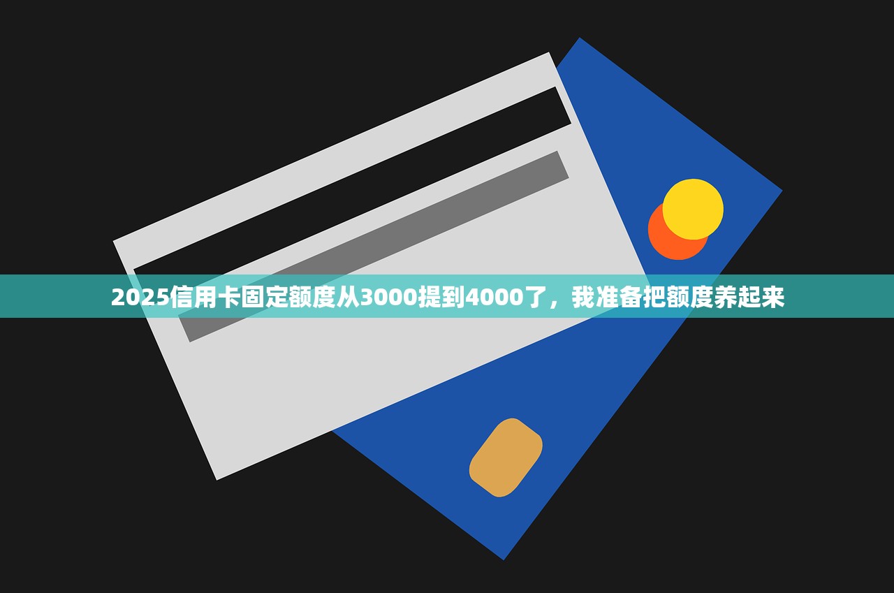 2025信用卡固定额度从3000提到4000了,我准备把额度养起来 2025信用卡固定额度从3000提到4000了,我准备把额度养起来