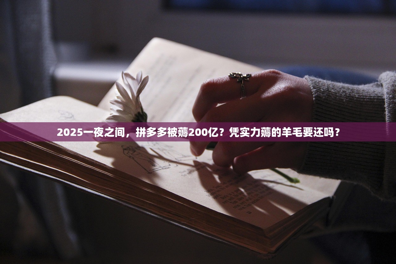 2025一夜之间，拼多多被薅200亿？凭实力薅的羊毛要还吗？