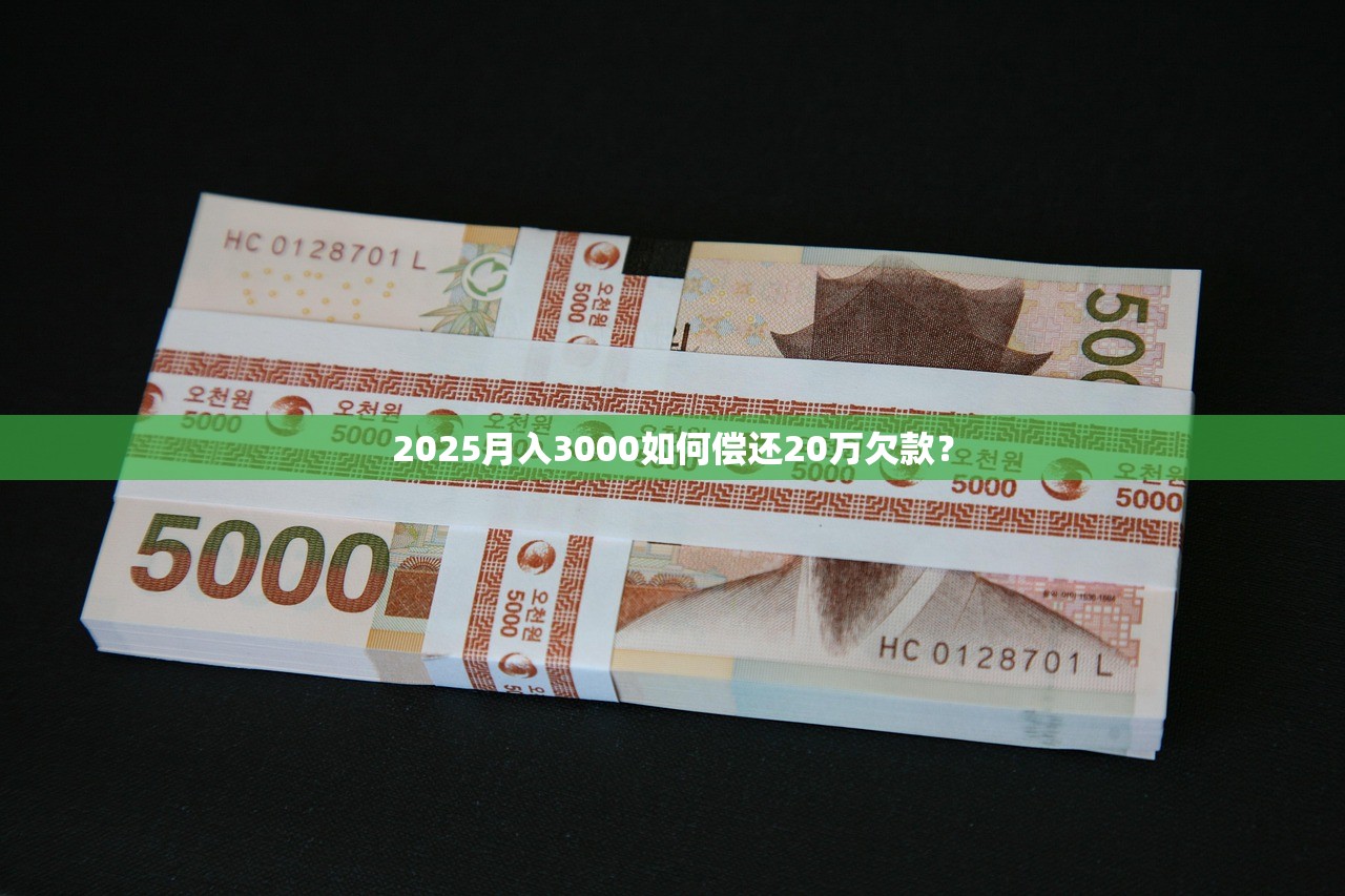2025月入3000如何偿还20万欠款？