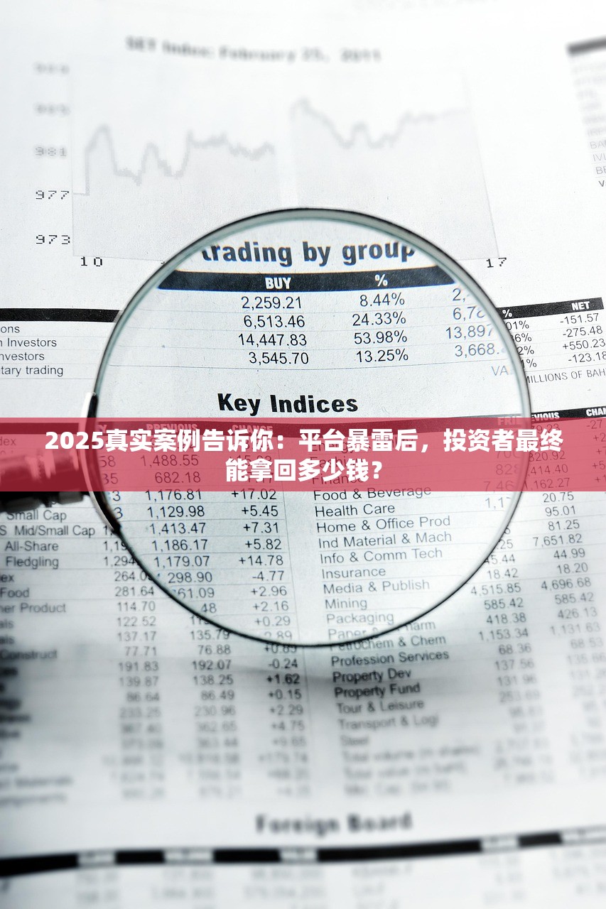 2025真实案例告诉你：平台暴雷后，投资者最终能拿回多少钱？