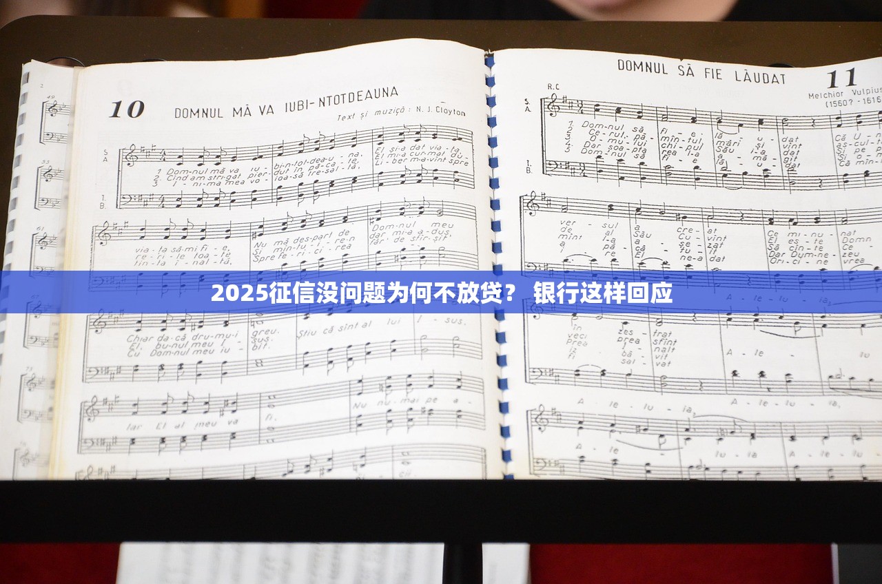 2025征信没问题为何不放贷？ 银行这样回应