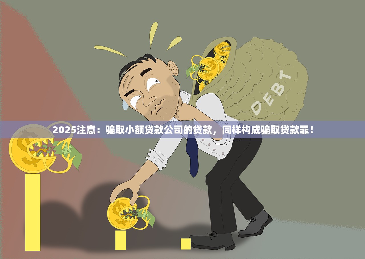 2025注意:骗取小额贷款公司的贷款,同样构成骗取贷款罪! 2025注意:骗取小额贷款公司的贷款,同样构成骗取贷款罪!