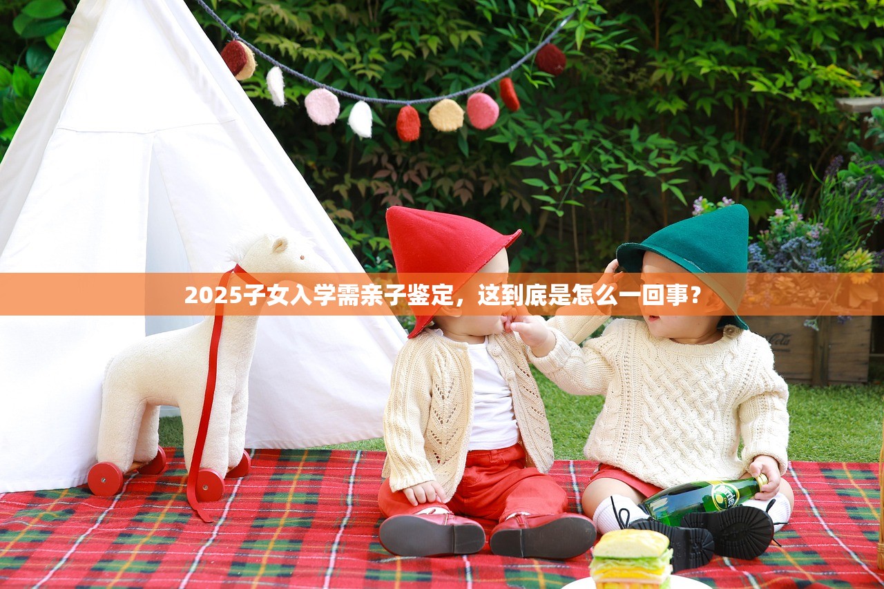 2025子女入学需亲子鉴定,这到底是怎么一回事? 2025子女入学需亲子鉴定,这到底是怎么一回事?