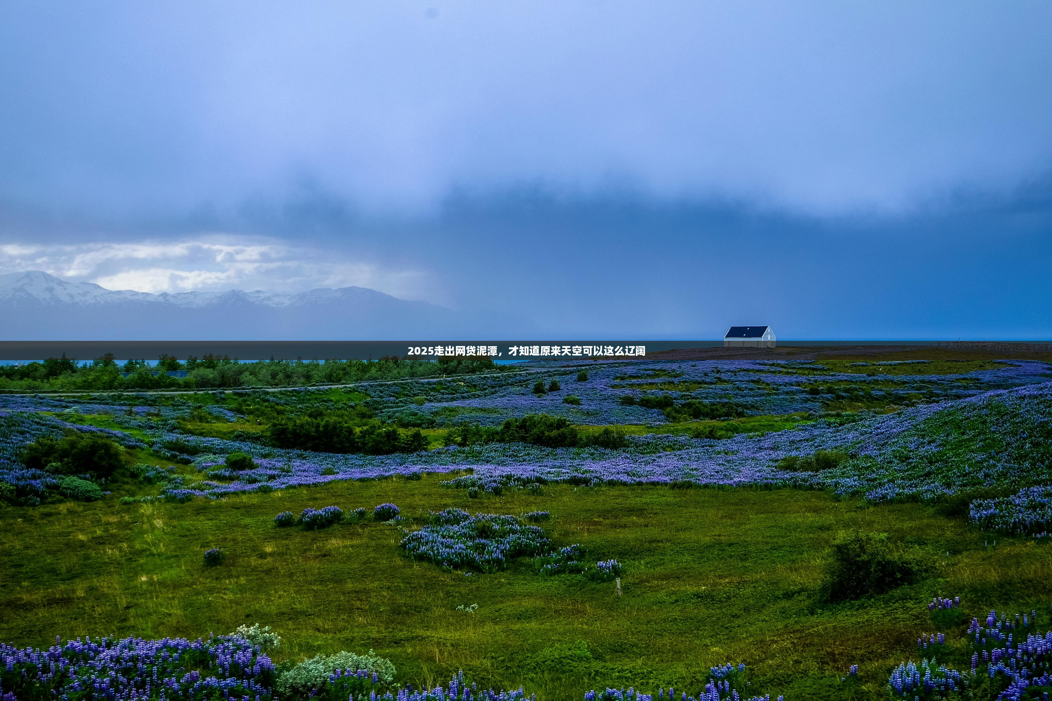 2025走出网贷泥潭，才知道原来天空可以这么辽阔